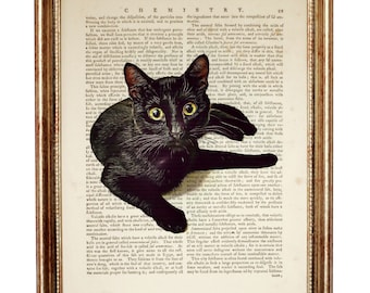 Black Cat Dictionary Art Print, Vintage Dictionary Book Page, Unique Cat Lover Gift, Pet Poster Home Decor