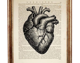 Human Anatomical Heart Dictionary Art Print, Vintage Medical Illustration, Gothic Wall Art, Anatomy Poster
