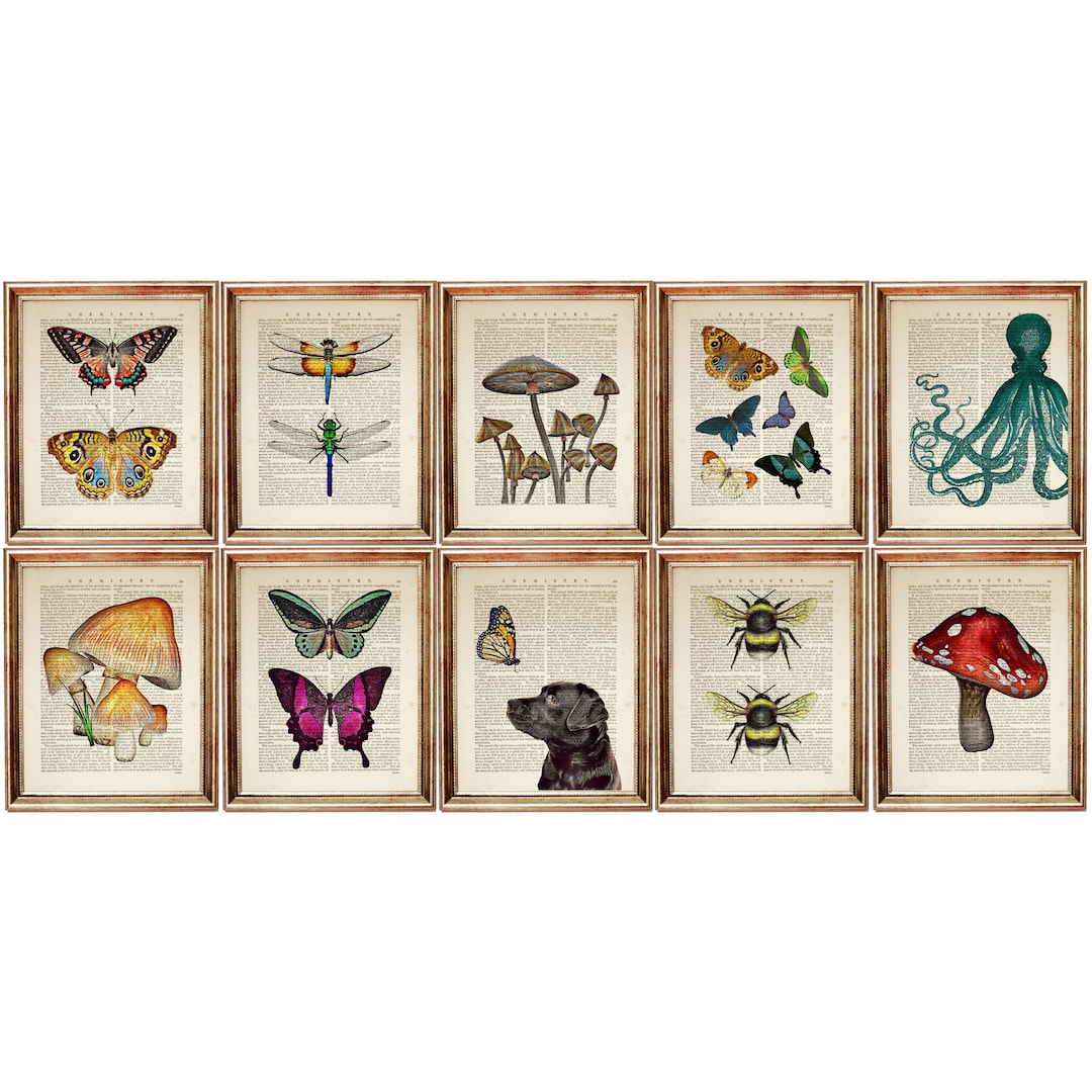Set of 10 Prints Wall Art Gift Set Mushroom Wall Art Etsy UK