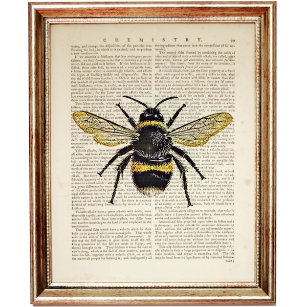 Bee Wall Art, Honey Bee Dictionary Art Print, Bumble Bee Nursery Wall Decor, Bumblebee Poster 8x10