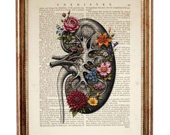 Human Kidney Flower Dictionary Art Print, Floral Anatomy Wall Art, Vintage Medical Poster Artwork