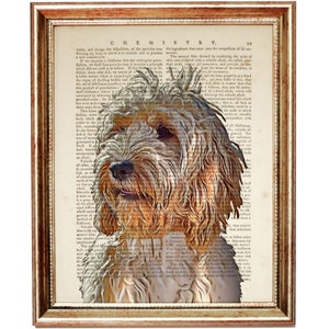 Stampa di cane Cockapoo, arte di dizionario vintage, poster con ritratto di animale domestico