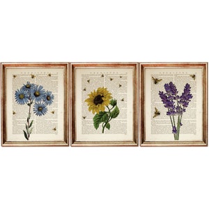 May include: Set of three framed prints featuring vintage botanical illustrations of flowers and bees. The prints are on a white background with black text. The first print features blue flowers, the second print features a yellow sunflower, and the third print features purple lavender.