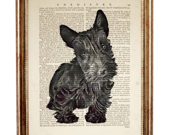 Scottish Terrier Print, Scottie Dog Art, Vintage Dictionary Page Wall Decor, Scottish Terrier Gift, Dog Lover Home Office Art