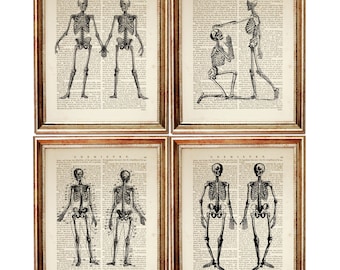 Vintage Skeleton Anatomy Print Set of 4, Anatomical Dictionary Art, Gothic Halloween Decor