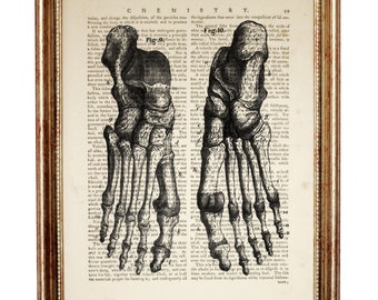 Feet Anatomy Wall Art, Human Anatomy Wall Decor, Foot Poster, Anatomical Wall Hanging, Foot Bones Print, Skeletal System