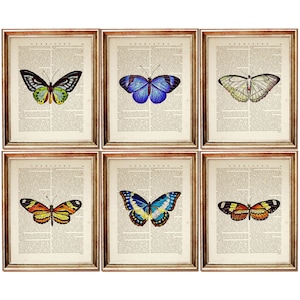 Set di 6 stampe, stampa murale con farfalle, pagina del dizionario con farfalle, stampa murale con natura colorata, regalo per gli amanti delle farfalle