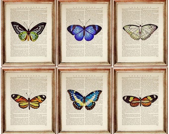 Set di 6 stampe di farfalle, dizionario d'epoca, decorazione da parete di entomologia