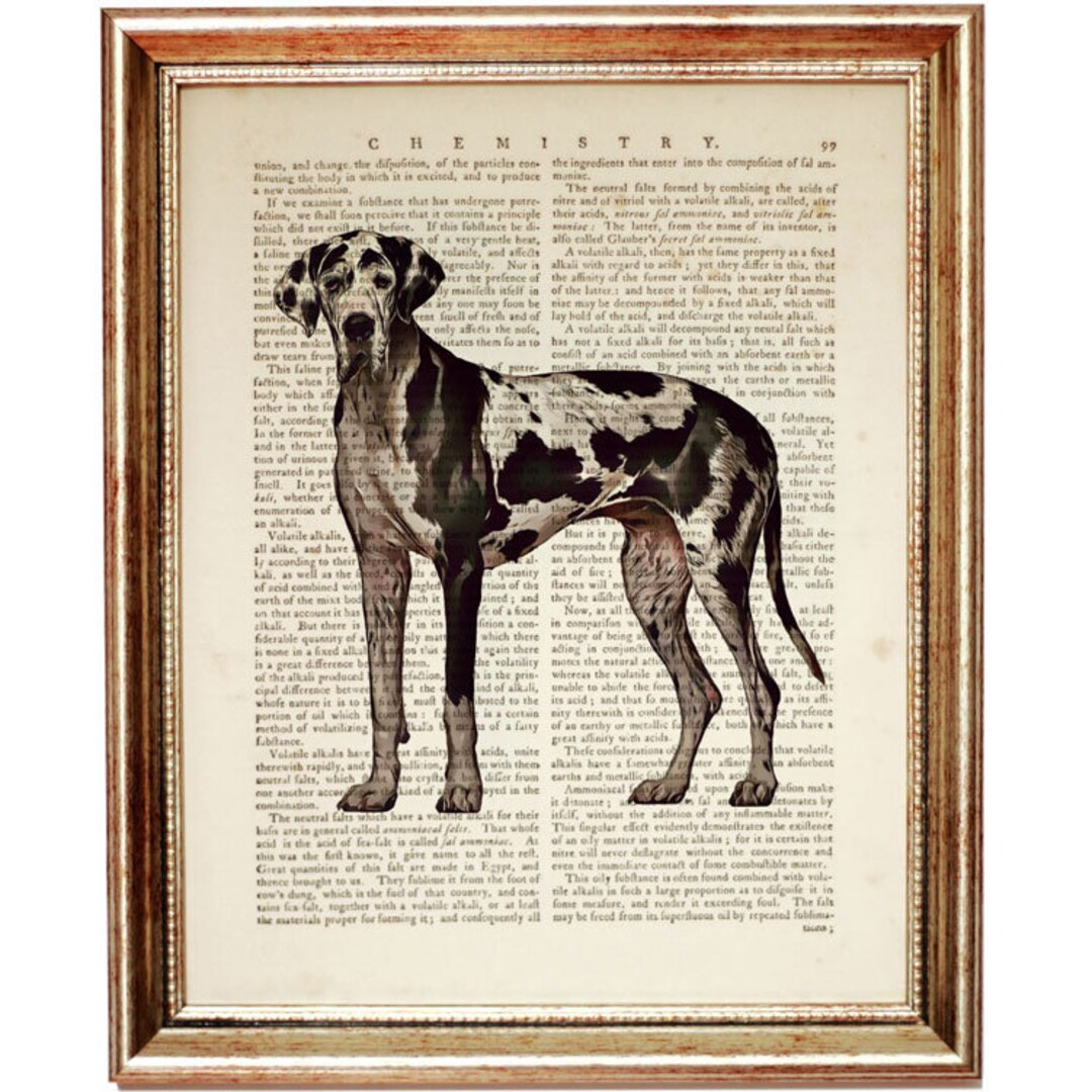 Great Dane Wall Art, Great Dane Print, Dog Dictionary Art Print, Dog
