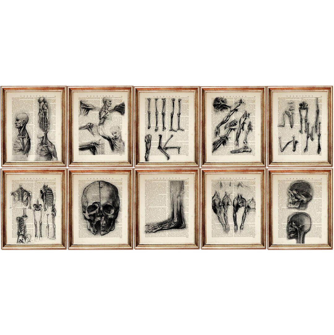 Set of 10 Da Vinci Anatomy Prints, Medical Art, Anatomical Drawing ...