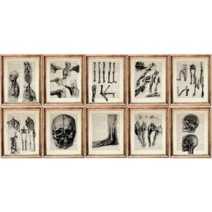 10er Set Wandkunst, Anatomie Zeichnung Wörterbuch Art Print, Da Vinci Skizze Print, Da Vinci Wandkunst, menschliche Anatomie Poster Art