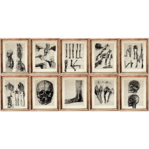 Set di 10 stampe anatomiche di Leonardo da Vinci, arte medica, pagina di dizionario di disegno anatomico, decorazione murale anatomica rinascimentale