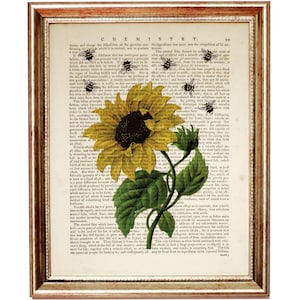 May include: A vintage botanical illustration of a sunflower with bees on a page from an old book. The text on the page is about chemistry and the properties of salts.