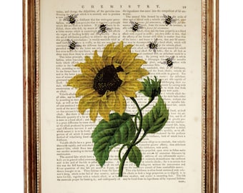 Sunflower with Bees Dictionary Art Print, Botanical illustration, Floral Poster, Garden Flower Wall Decor