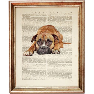 Boxer Dog Print, Dog Vintage Dictionary Book Page, Unique Pet Art, Animal Lover Gift, Boxer Wall Decor