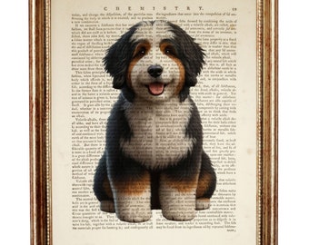 May include: A framed print featuring a Bernese Mountain Dog illustration superimposed over a vintage chemistry textbook page. The dog has black, white, and tan fur with an open mouth. The frame is a textured, metallic bronze-toned wood finish.