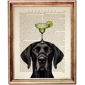 May include: A black dog with a margarita glass on its head. The glass is filled with a green liquid and a lime wedge. The background is a vintage book page with text about chemistry.