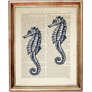 Puede incluir: Dos ilustraciones de caballitos de mar azules impresas en una p&aacute;gina de libro antiguo con texto sobre qu&iacute;mica. Los caballitos de mar se miran y est&aacute;n delineados en negro.