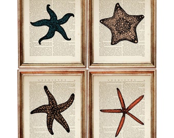 Set of 4 Starfish Print, Seashore Dictionary Art, Coastal Wall Decor