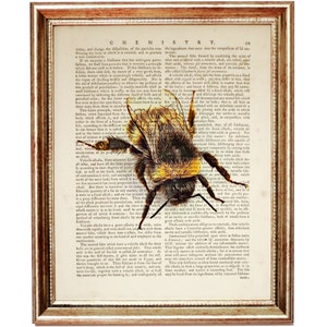 May include: A vintage book page with a close-up image of a bumblebee. The text on the page discusses chemistry and the properties of salts. The bumblebee is in focus, with its wings spread and its body covered in yellow and black stripes.