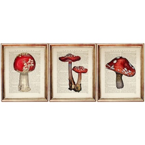Set of 3 Prints, Mushroom Wall Decor, Mushroom Dictionary Art Print Set, Vintage Mushroom Home Decor, Red Mushroom Poster