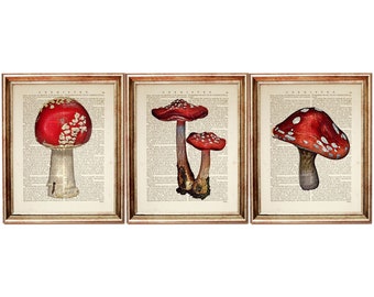 Set of 3 Art Print, Mushroom Wall Decor, Mushroom Dictionary Art Print Set, Vintage Mushroom Home Decor, Red Mushroom Poster