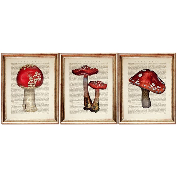 Set of 3 Prints, Mushroom Wall Decor, Mushroom Dictionary Art Print Set, Vintage Mushroom Home Decor, Red Mushroom Poster