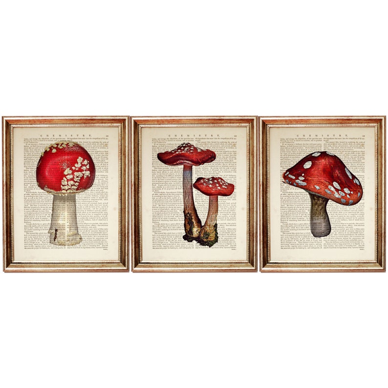 May include: Three framed prints of red and white mushrooms on a vintage book page background. The prints are in gold frames.