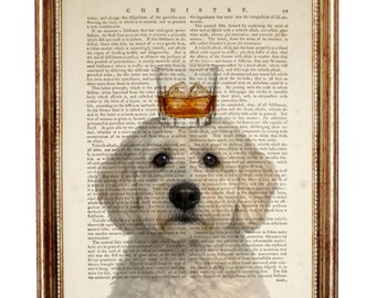 White Doodle Dog Dictionary Art Print, Pet with Whiskey Glass Poster, Vintage Book Page Wall Decor, Dog Lovers Gift
