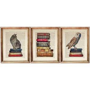 Set of 3 Cat and Owl Sitting on Books Prints, Vintage Animal Art on Antique Dictionary Pages