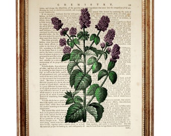 Vintage Botanical Print, Purple Flower Wall Art, Antique Book Page