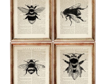 Bee Decor Set of 4 Wall Art, Bumble Bee Wall Art, Bee Dictionary Art Print, Bee Print Set of 4, Bee Artwork 5x7 & 8x10