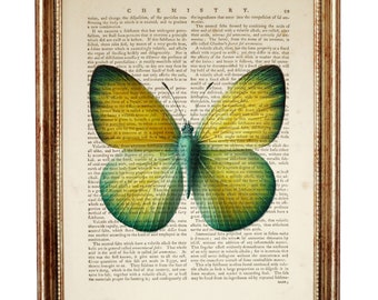 Lámina artística de mariposa amarilla, mariposa en página de diccionario vintage, decoración de pared natural, póster estético de insectos verdes, regalo para jardineros.