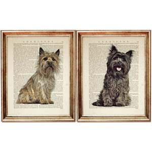 Set of 2 Prints, Cairn Terrier Wall Art, Cairn Terrier Dog Dictionary Art Print, Terrier Nursery Wall Decor Poster Artwork