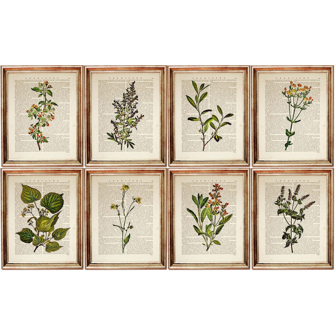 Botanical Print Set of 8, Vintage Dictionary Page Herbarium Wall Art - Etsy