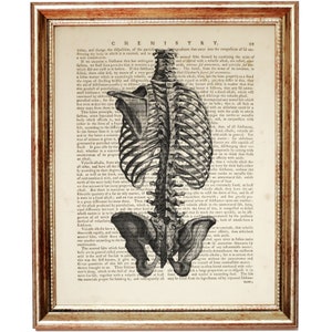 Anatomy Poster Dictionary Art Print, Ribcage Art, Human Anatomy Poster, Anatomical Prints, Anatomy Wall Print