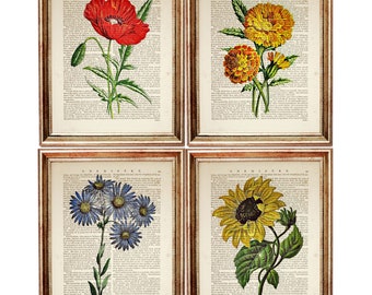 Set di 4 stampe botaniche, pagina di dizionario vintage con fiori, arte murale floreale