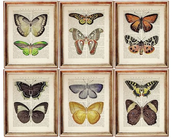 Butterfly Print Set, Vintage Dictionary Art, Natural History Poster