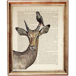 Antelope With Bird Wall Art, Unique Funny Animal Dictionary Art Print, Charming Forest Animal Nursery Decor