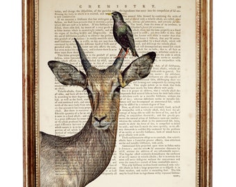 Arte de pared de antílope con pájaro, impresión de página de diccionario vintage, retrato de animales del bosque, decoración natural, regalo para amantes de los animales