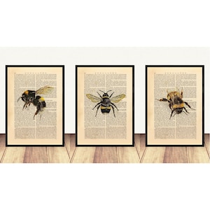 Juego de 3 láminas de abejorro, póster de abeja, decoración de pared de abeja, lámina de abeja, obra de arte de abeja, lámina grande de abeja de miel A3