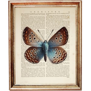 Stampa artistica con farfalla blu pigmea occidentale, pagina del dizionario, decorazione per la casa con farfalla blu e marrone, poster da parete con farfalla