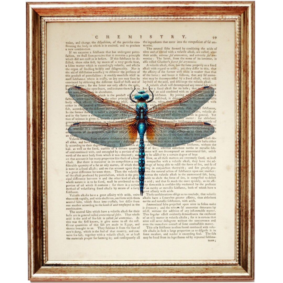 Dragonfly Print on Vintage Dictionary Page - Insect Wall Art, Nature ...