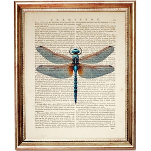 Libelle Print auf Vintage Wörterbuch Seite - Insekt Wand Kunst, Geschenk für Naturliebhaber