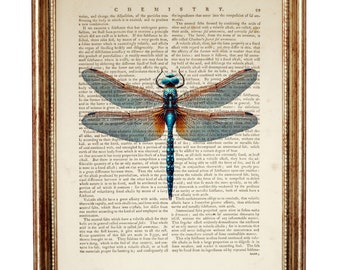 Dragonfly Print on Vintage Dictionary Page - Insect Wall Art, Nature Lover Gift, Dragonfly Home Wall Decor