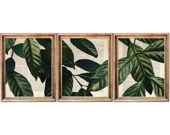 Set of 3 Prints, Palm Leaf Wall Art, Botanical Poster Set, Greenery Wall Decor, Botanical Wall Decor, Tropical Leaves