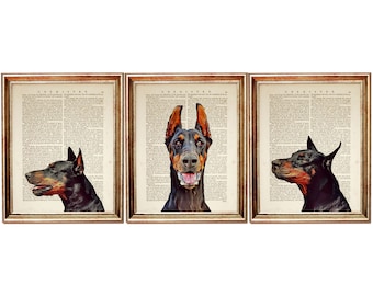 Set of 3 Doberman Dog Portrait Prints, Vintage Dictionary Page Art
