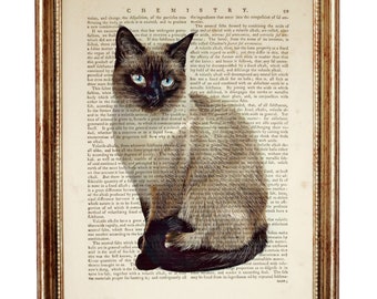 Siamesisk katt konsttryck, vit kattordbok konsttryck, thailändsk kattkonstverk, kattväggkonst, kattboksidaffischkonst