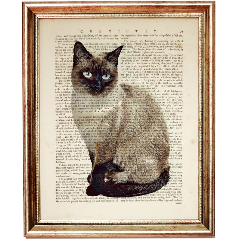 Siamesische Katze Kunstdruck, weiße Katze Wörterbuch, Thailändische Katzenkunst, Katzen Wandkunst, Katzenbuch Seiten Kunst, Drucke Wandkunst Bild 1