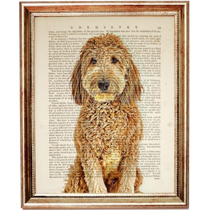 Goldendoodle Dog Wall Art, Dog Print, Recycled Dictionary Art Print, Goldendoodle Art, Goldendoodle Poster Book Artwork
